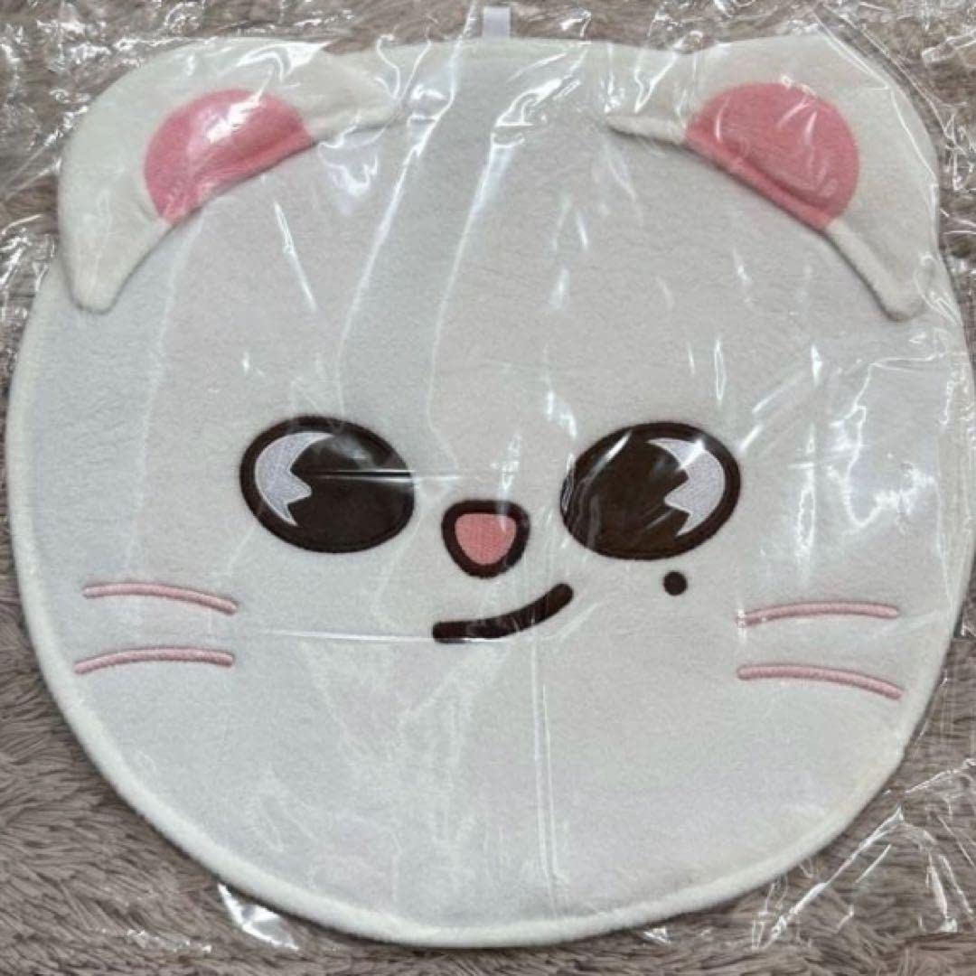 Stray Kids - StrayKids スキズ　うちわ＆うちわケース　（ヒョンジン） Amazon.co.jp: StrayKids うちわケース ヒョンジン スキズ
